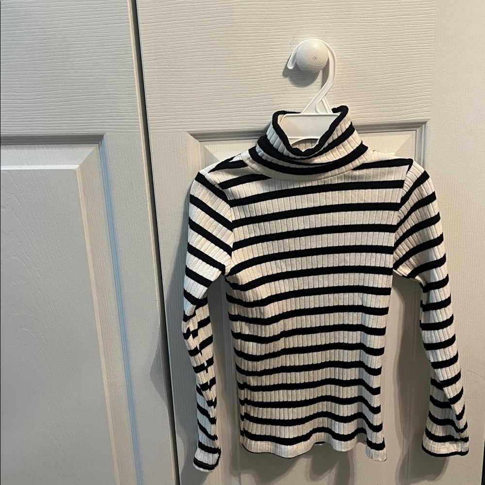 Zara Striped Turtleneck Sweater